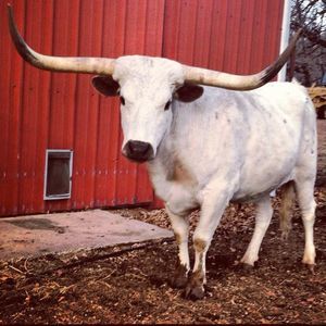 Meet your Posher, Lynn